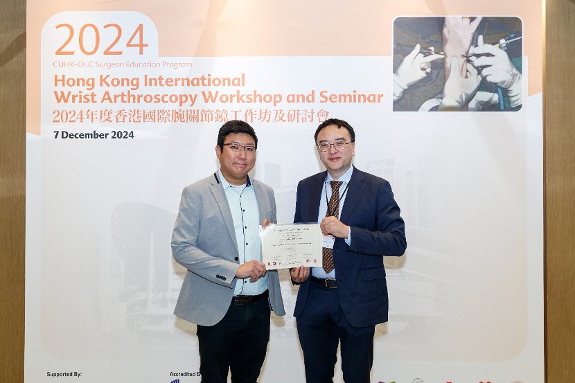 HK Wrist Course 2024- Seminar  - 131 of 257